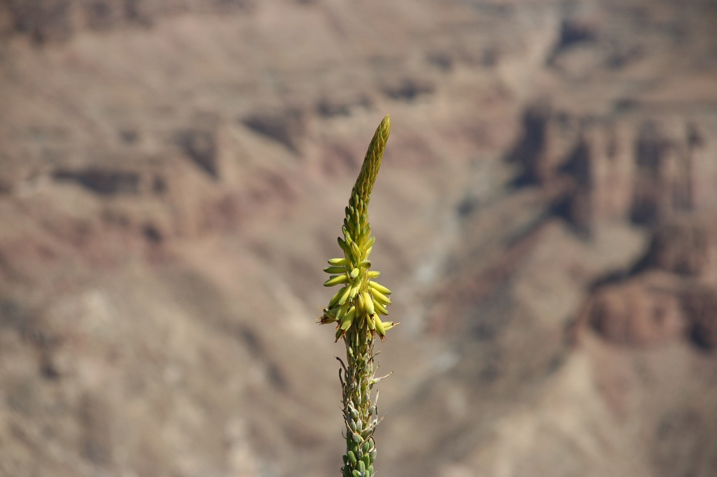 Namibia (78)